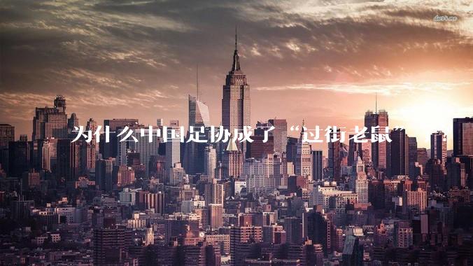 为什么中国足协成了“过街老鼠”了?