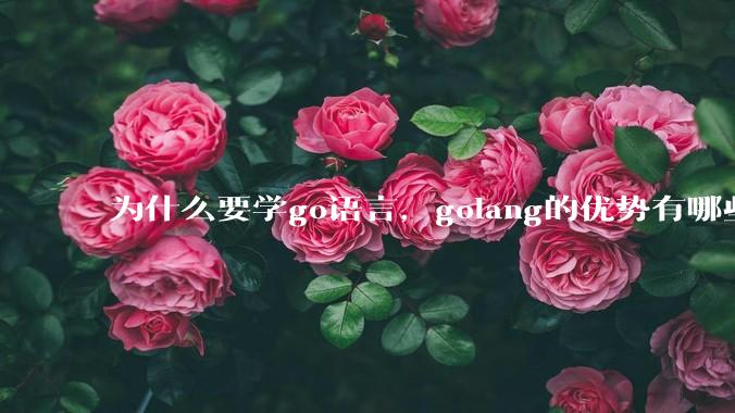 为什么要学go语言,golang的优势有哪些?