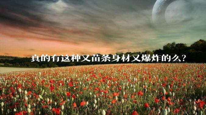 真的有这种又苗条身材又爆炸的么?