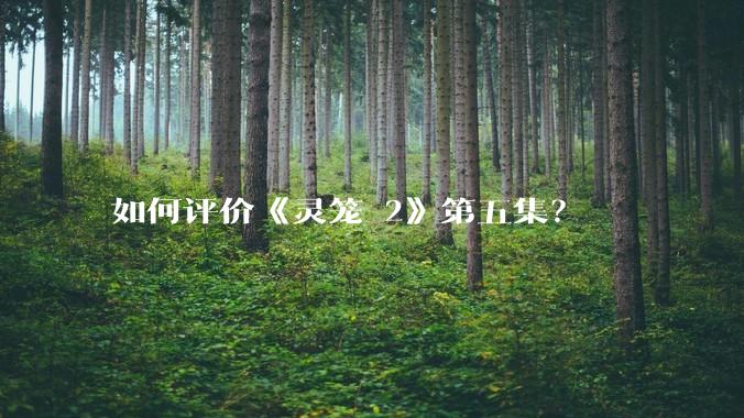 如何评价《灵笼 2》第五集?
