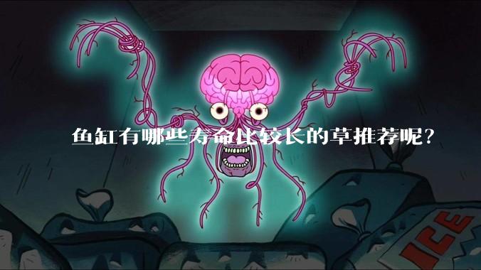 鱼缸有哪些寿命比较长的草推荐呢?