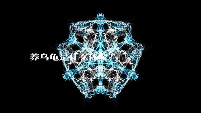 养乌龟是什么体会?