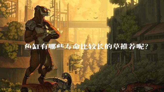 鱼缸有哪些寿命比较长的草推荐呢?