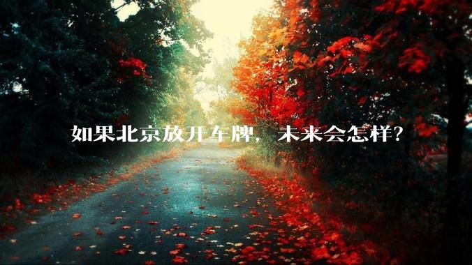 如果北京放开车牌,未来会怎样?