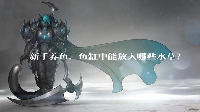 新手养鱼,鱼缸中能放入哪些水草?