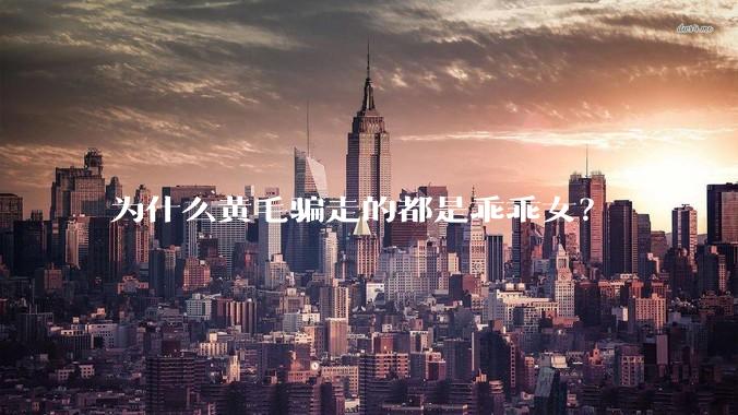为什么黄毛骗走的都是乖乖女?