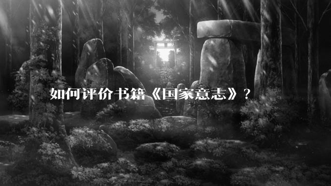 如何评价书籍《国家意志》?