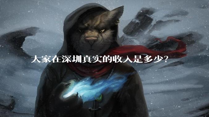 大家在深圳真实的收入是多少?