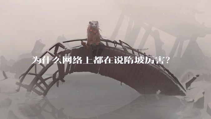 为什么网络上都在说隋坡厉害?