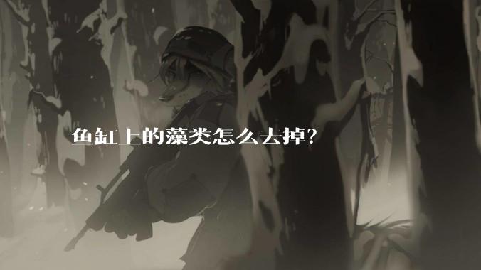 鱼缸上的藻类怎么去掉?