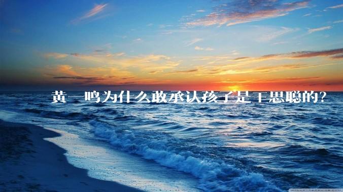 黄一鸣为什么敢承认孩子是王思聪的?