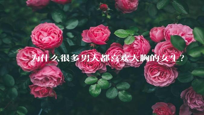 为什么很多男人都喜欢大胸的女生?