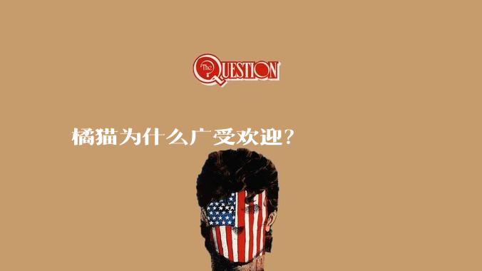 橘猫为什么广受欢迎?