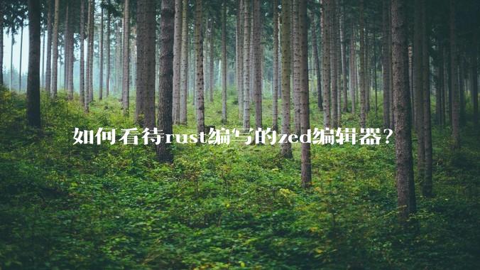 如何看待rust编写的zed编辑器?