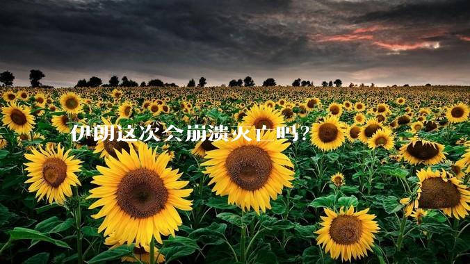 伊朗这次会崩溃灭亡吗?