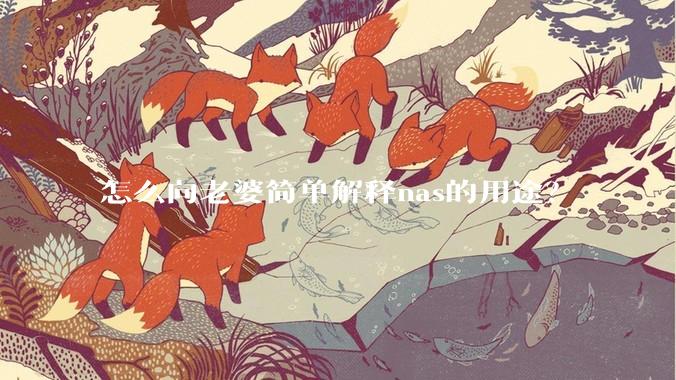 怎么向老婆简单解释nas的用途?