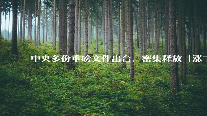 中央多份重磅文件出台,密集释放「涨工资」「提高居民收入」的信号,这背后有何深意?
