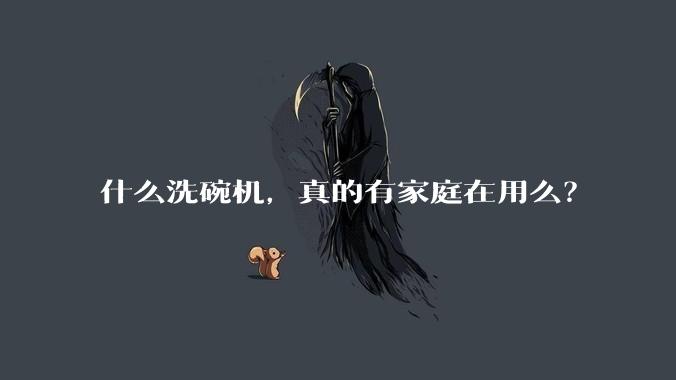 什么洗碗机,真的有家庭在用么?