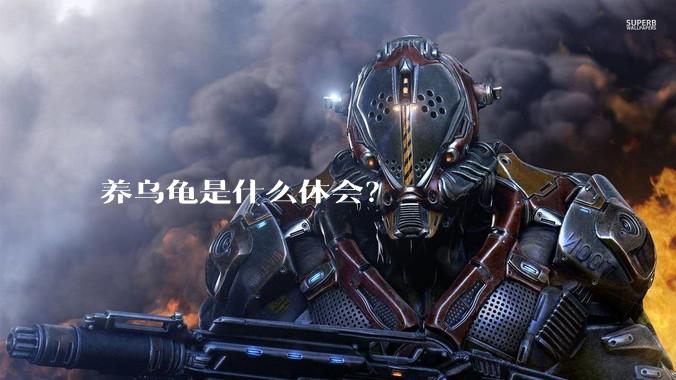 养乌龟是什么体会?