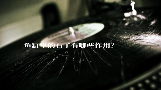 鱼缸里的石子有哪些作用?
