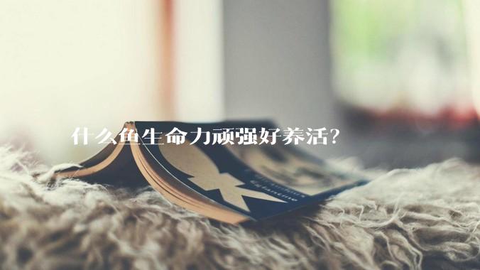 什么鱼生命力顽强好养活?