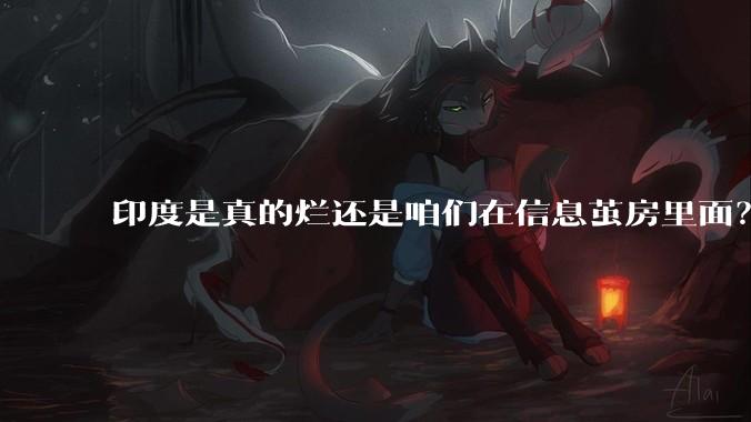 印度是真的烂还是咱们在信息茧房里面?