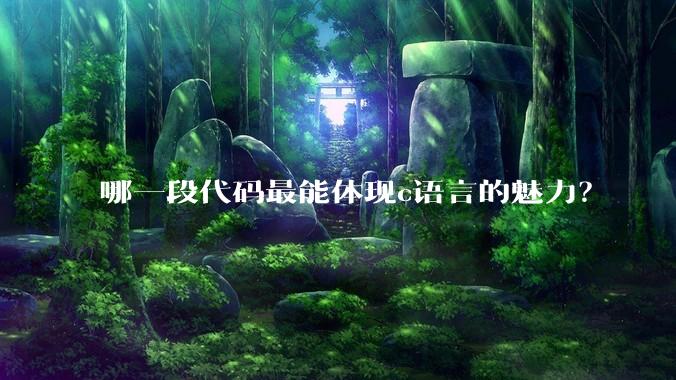 哪一段代码最能体现c语言的魅力?