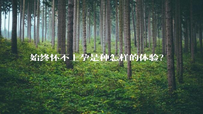 始终怀不上孕是种怎样的体验?