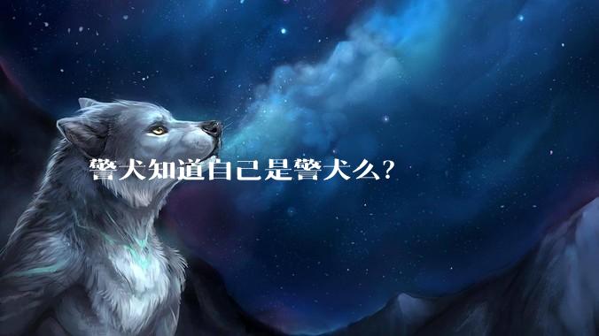 警犬知道自己是警犬么?
