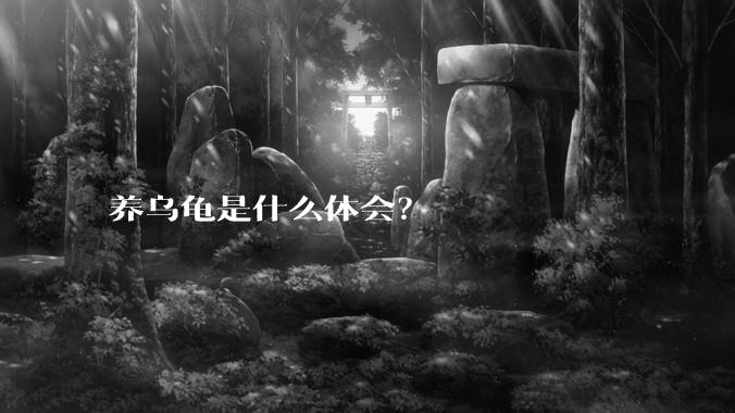 养乌龟是什么体会?