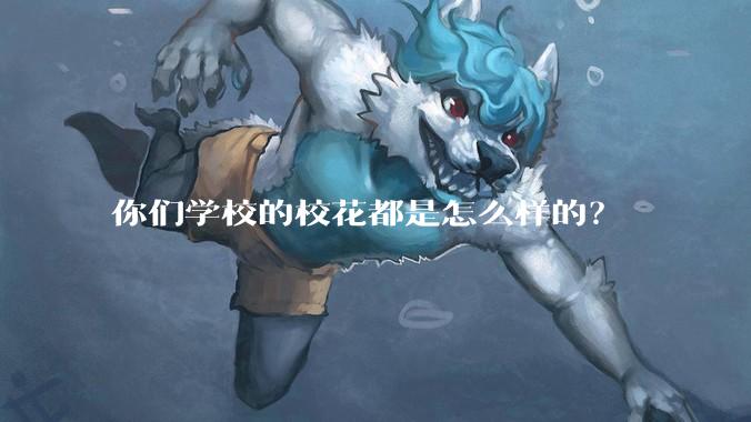 你们学校的校花都是怎么样的?
