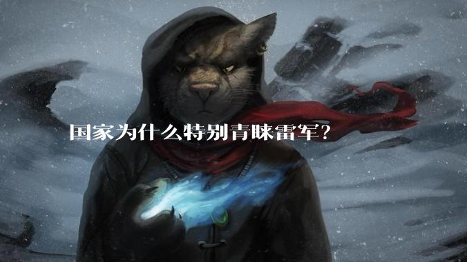 国家为什么特别青睐雷军?