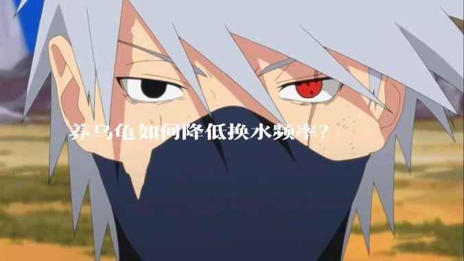 养乌龟如何降低换水频率?