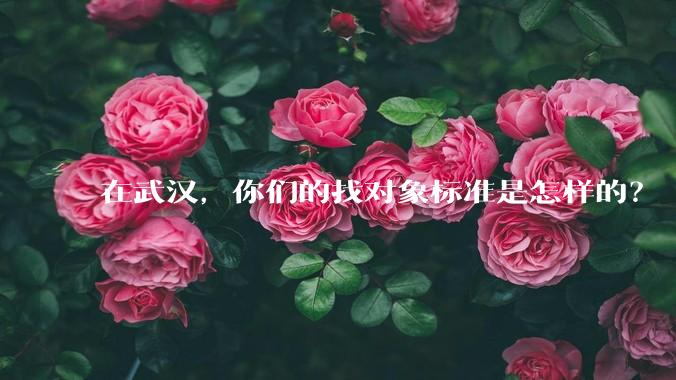 在武汉,你们的找对象标准是怎样的?