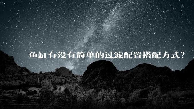 鱼缸有没有简单的过滤配置搭配方式?