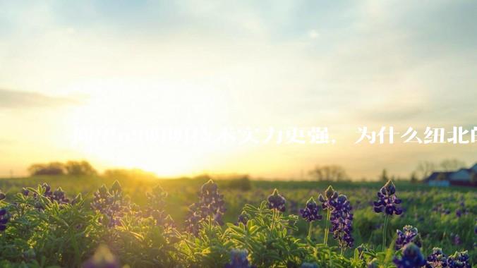 仰望u9明明技术实力更强,为什么纽北的成绩没有小米su7ultra好?