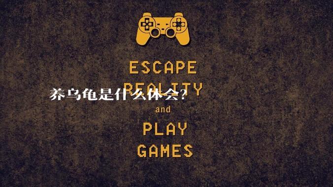 养乌龟是什么体会?