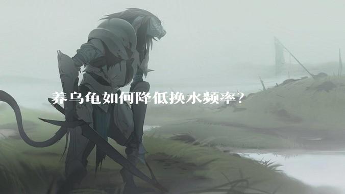 养乌龟如何降低换水频率?