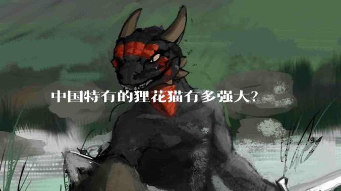 中国特有的狸花猫有多强大?