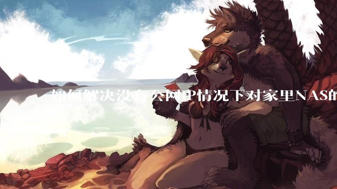 如何解决没有公网IP情况下对家里NAS的高速远程访问?