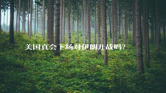 美国真会下场对伊朗开战吗?
