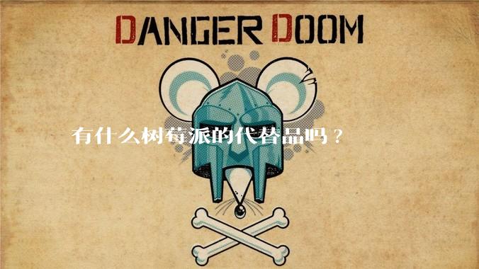 有什么树莓派的代替品吗?