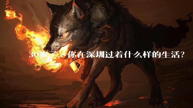 30岁了,你在深圳过着什么样的生活?