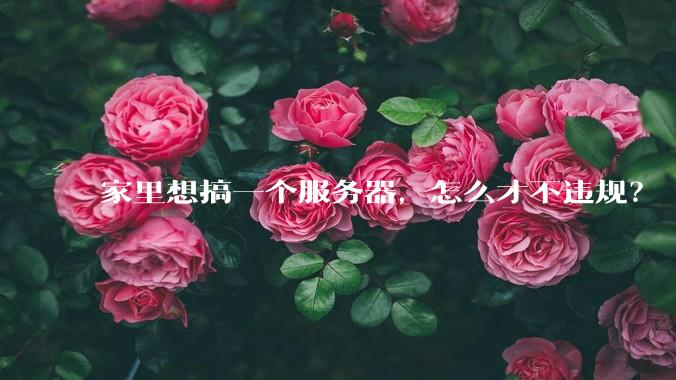 家里想搞一个服务器,怎么才不违规?