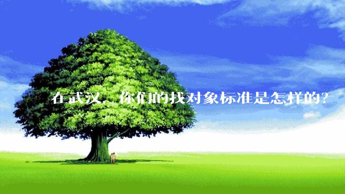 在武汉,你们的找对象标准是怎样的?