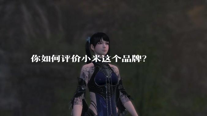 你如何评价小米这个品牌?