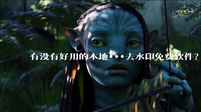 有没有好用的本地***去水印免费软件?