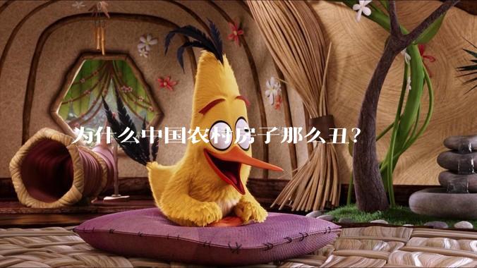 为什么中国农村房子那么丑?