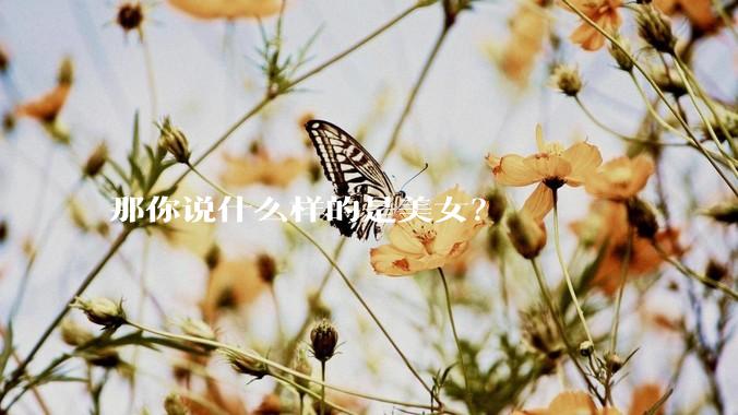 那你说什么样的是美女?