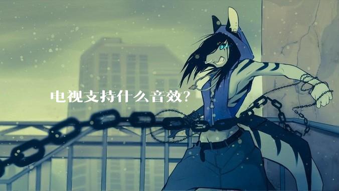 电视支持什么音效?